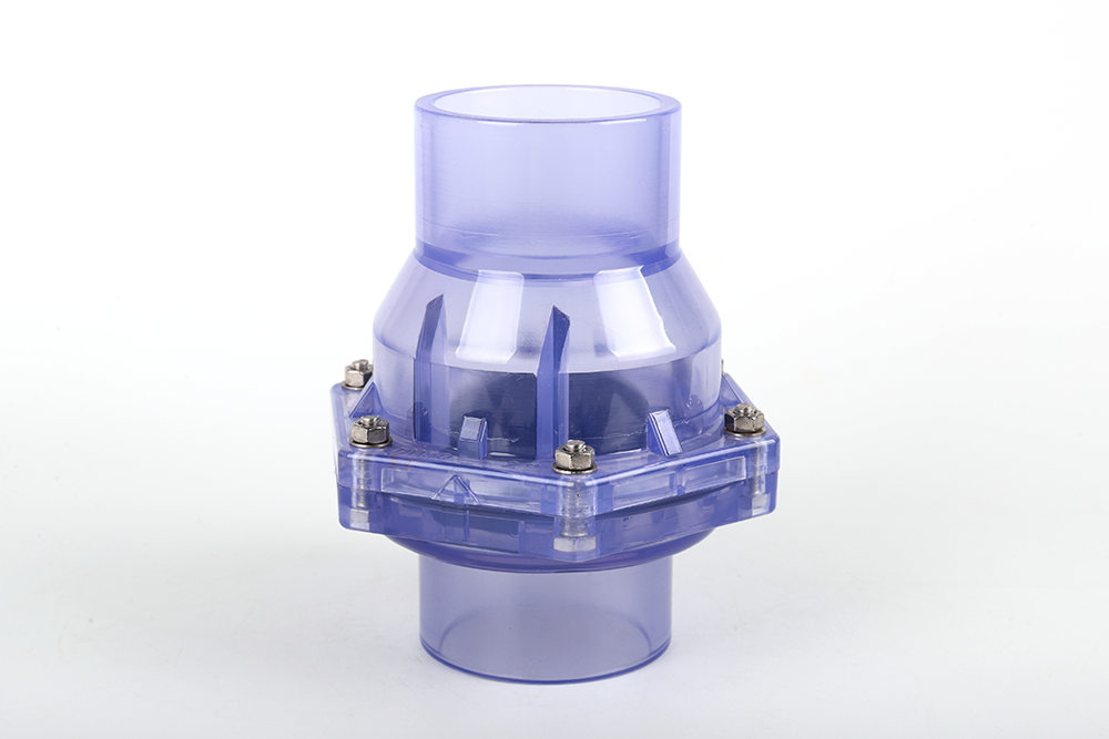 罗田透明翻板式止回阀